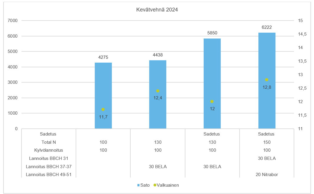 Kev&auml;tvehn&auml; 2024