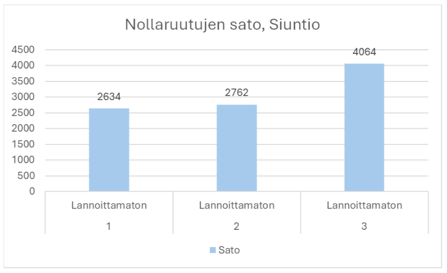 Kuva 2 Siuntio