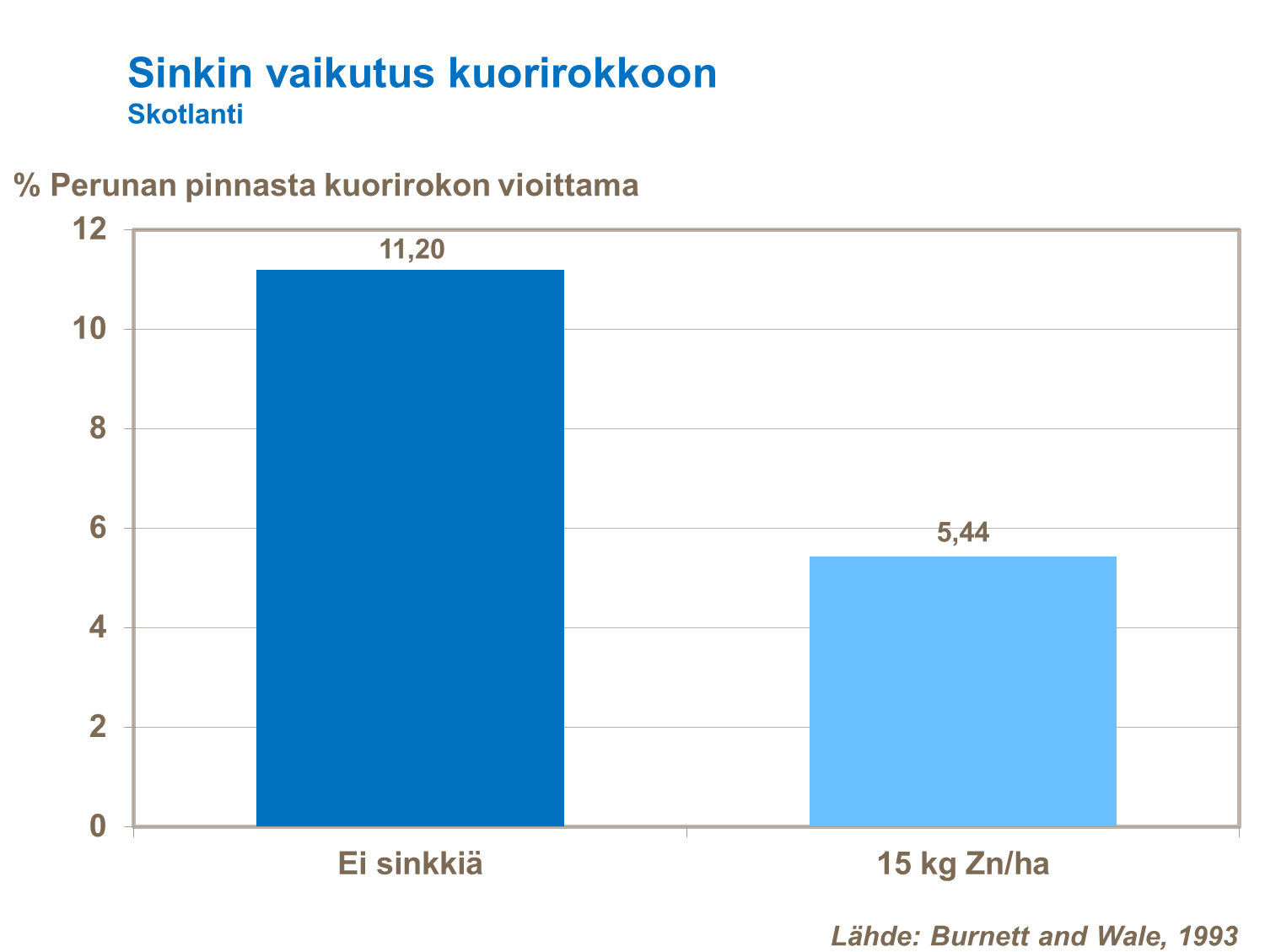 Tutkimuksen mukaan sinkkilannoituksella vähennetään perunan kuorirokkoa.