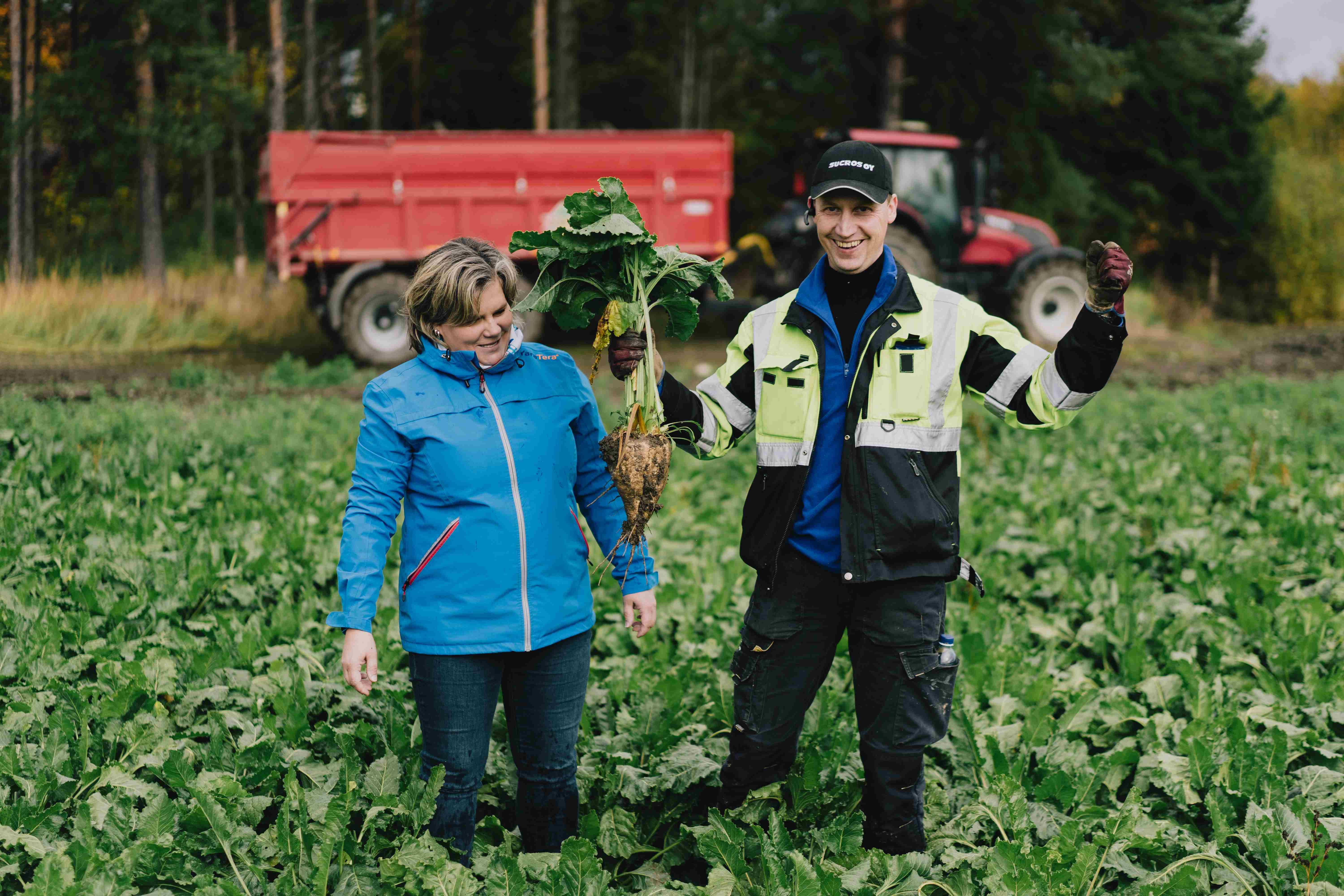 Taija Saari ja Mika Lehtinen Kemiönsaarella sokerijuurikaspellolla