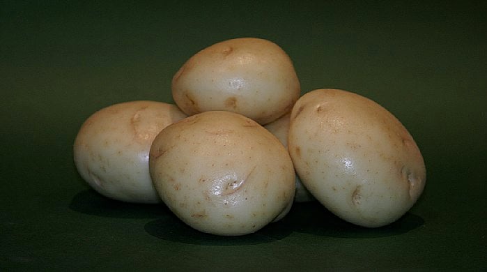 Vaaleakuorinen peruna