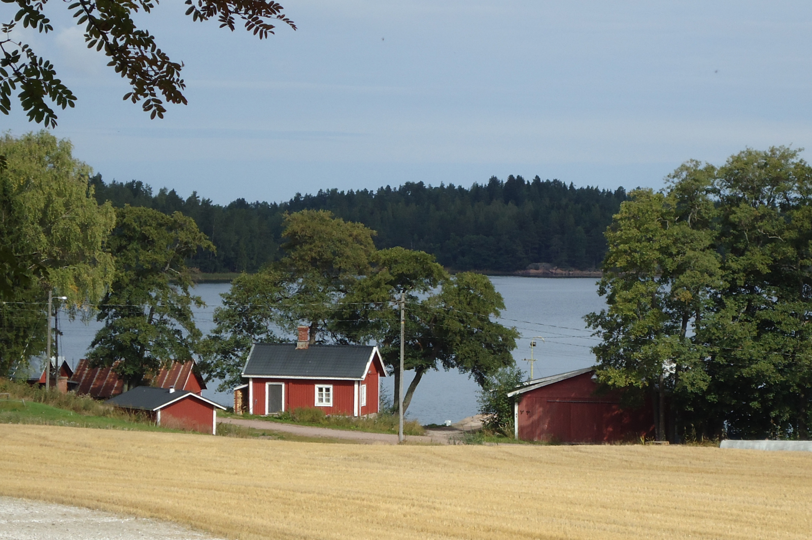 Vesiensuojelu